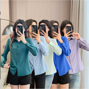 Shirt Womens Long Sleeve 2024 Spring & Fall Korean Style Business Attire Parka Silm Slim Fit Work Clothes Bottoming Shirt