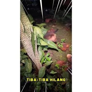 Spray Penangkal Musang SHUJIN FERETTO pembasmi musang pengusir musang efektif Asli Jepang cairan pembasmi musang jepang ajaib