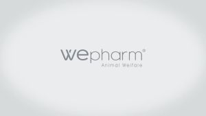 WeJoint Medium Breed 30 tablets