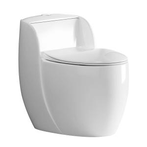 SSWW | Powerful Flushing Siphonic Home Toilet