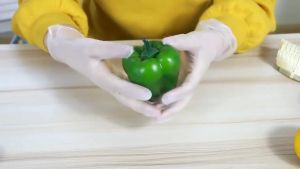 【Ship in 48h】70pcs Disposable TPE Gloves Food Grade Thick Glove for Household Food Handling