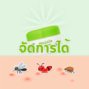 15 g บาล์มออร์แกนิคทาหลังยุง มด แมลงกัด USDA สำหรับเด็ก 3 เดือนขึ้นไป | ING Organic