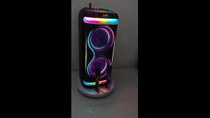 BRODU BTS-2099 8x2 Inches Wireless Bluetooth Outdoor Party Speaker Trolley Speaker With 2 Rechargeable Wireless MIC