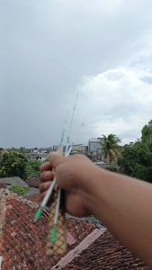 Joran Wader Optik 2 meter