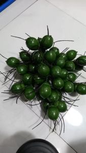 1 Buồng cau giả bằng nhựa 40 trái cau - Trái cây giả - TUYET XUAN SHOP