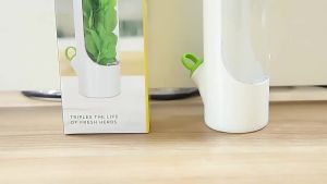 Cross-border Vanilla Vegetable Fresh-keeping Box Dust-proof Anti-pressure Environmental Protection Fresh-keeping Device Creative