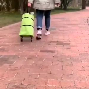 Tas Belanja Lipat Serbaguna Dilengkapi Dengan Roda / Troley shopping bag Tas Keranjang Belanja Terlaris