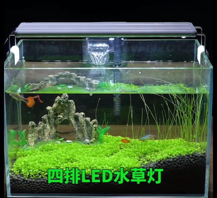 ไฟตู้ปลา led หลอดไฟตู้ปลา ไฟติดตู้ปลา3w/5w/6w/8w สำหรับตู้ปลาขนาด 11-36 นิ้ว ความสว่างสูง ปรับแสงได้ 4 แบบ โคมไฟ 4 แถว
