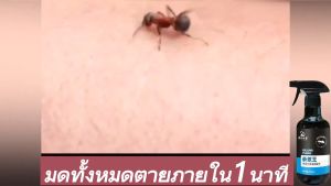 ยาฆ่าแมลง 500ml คุณภาพสูง 100% การจัดมด ยาฆ่ามด หรือไม่เป็นไปตาม สูตรพืชธรรมชาติ