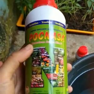 Pupuk Pelebat Buah Duku / Pupuk Untuk Pohon Duku / Pupuk Anti Rontok Buah Duku / Pupuk Buah Duku ZPT