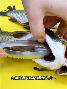 ที่ขูดเกล็ดปลา ที่ขอดเกล็ดปลา ไม้ขอดเกล็ด สแตนเลส ที่ขอดเกล็ดปลา อุปกรณ์ขอดเกล็ดปลา เครื่องขอดเกล็ดปลา