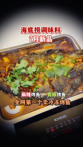[Frozen] Haidilao Seasoning Frozen Spicy Grilled Fish & Garlic Fish Hotpot – Semi-Cooked Ready to eat 【冻品】海底捞调味料 麻辣烤鱼蒜香鱼火锅宵夜速食半成品加热即食冷冻盒装