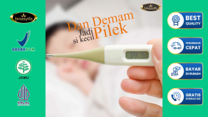 Madu Syifabraina – Madu Herbal Alami untuk Mempercepat Pemulihan Tifus dan Menambah Stamina Tubuh