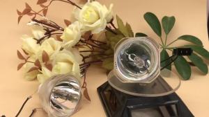 Free shipping Compatible Projector Lamp ELPLP80/ELPLP78/ELPLP88/ELPLP87/ELPLP96 for epson