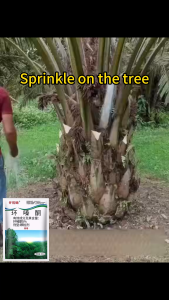 【Limited-time flash sale】herbicide to kill treehexazione which can effectively kill big treestree killer chemical 500gcycloazinone herbicidepermanent grass killer Die of Rotten Roots Weeding and land reclamation bamboo tree root killer