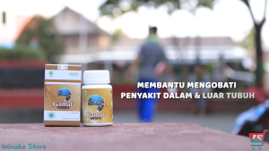 GAMAT EMAS-Mengatasi maag-radang sendi-patah tulang-diabetes-kolesterol-pencernaan-pasca operasi