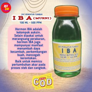 ZPT IBA kelompok hormon auxin untuk menumbuhkan akar menjadi lebih besar cocok buat pencakokan 100ml 500ppm