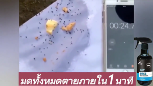 💥ตายยกรัง ฆ่าด่วน✅ นําเข้าจากญี่ปุ่น ยากำจัดมด  ฆ่าด่วน ใช้ยา1ครั้ง ยาฆ่าปลวก กำจัดปลวก ยาปลวก มีผลยาวนาน 100%ได้ผล 750ml ยาฆ่ามด ปลอดภัยต่อผู้ใช้และสัตว์เลี้ยง