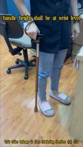 Walking Stick for Elderly/Esco Walking stick
