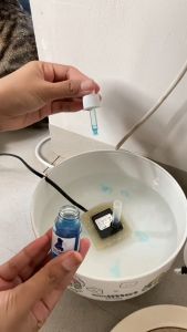 Clever Solutions - GLOWCAT: Vitamin Bulu Kucing Pelebat Bulu