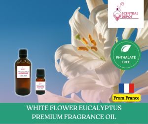 WHITE FLOWER EUCALYPTUS Fragrance Oil for Candles Soaps Diffuser Perfumes IFRA Standard Raw Materials Soy Wax Paraffin Wax