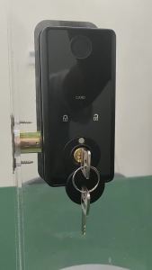Support Tuya App Remote Control Door Lock Deadbolt Key Fingerprint Lock electronics Digital Indoor House Electronic Lock LD02/03