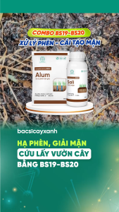 Chế Phẩm Khử Chua Hạ Phèn Đất BS19 Alum 500g - Chống Ngộ Độc Hữu Cơ Nhiễm Mặn - Bác Sĩ Cây Xanh