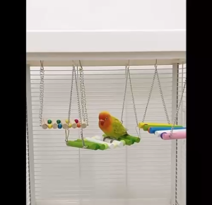 Parrot Birds Hanging Bridge Swing Anti Depression Anti Boring Play Toys