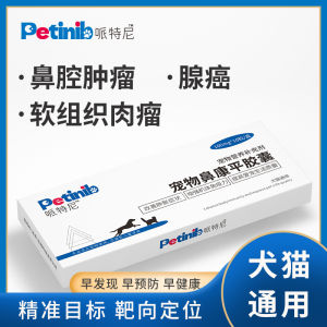 Nasal Kangping Pet Dog Nasal Cavity Tumor Cat Dog Nasal Blood Nasal Cavity Mass Nasal Cancer Cancer Cancer Pingxiao Tumor Ping