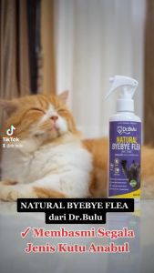 PAKET TRIPLE - Pembasmi Kutu Kucing Alami Natural ByeBye Flea By Dr.Bulu