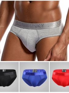 Fashionable Mens Underwear Modal Triangle Briefs Mid-Waist Large Size Double Layer Pouch Breathable Slimming Comfortable Lightweight Trendy