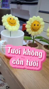 Chậu hoa mặt cười trang trí bàn học làm quà tặng dễ thương