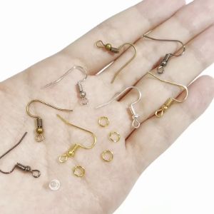 Panduan Membeli 300Pcs/Set Kaitan Anting Hypoallergenic
