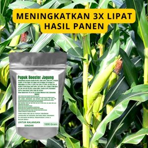 Pupuk Booster Jagung Pelebat Organik Cepat Berbuah Lebat Besar Anti Rontok Pembesar Jagung
