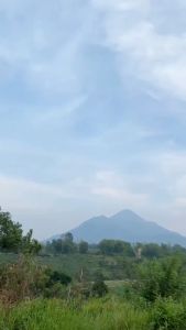 Go Pro Adventure Beta LM PW Sandal Gunung Anak Baby Prewalker Sendal Lampu Menyala Bayi Lembut Ringan Lentur Anti Licin Sendal Anak Size 19-23