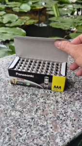 Hộp 60 viên pin đũa Panasonic AAA NEO R03NT-2S Extra Heavy Duty chính hãng