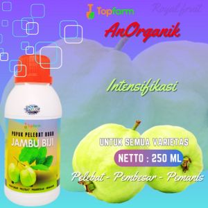 Pupuk Buah Jambu Kristal / Pupuk Buah Jambu Jamaika / Pupuk Penyubur Buah Jambu /Pupuk Pelebat Buah /Pupuk Pembesar Buah Jambu