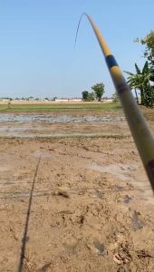 TERMURAH TEGEK NEPTUNA TIRAI BAMBU