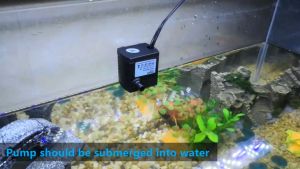 ปั๊มน้ำตู้ปลา ปั้มน้ำ ปั๊มน้ำพุแมว 3W ปั๊มน้ำตู้ปลา ปั๊มแช่ ปั๊มน้ำพุ ปั๊มน้ำพิพิธภัณฑ์สัตว์น้ำ อุปกรณ์ตู้ปลา สีดำ เสียงเงียบ