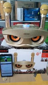 loa Bluetooth SD 306 kèm 2 mic không dây công suất cao như loa kéo