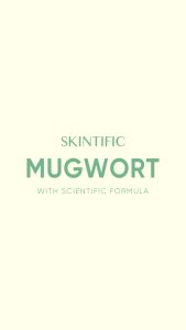 SKINTIFIC Mugwort Anti Pores & Acne Clay Mask 55gr - Niacinamide Centella Masker Wajah Pore Clarifying