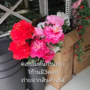 ดอกโบตั๋น ประดิษฐ์ ก้านยาว 115cm ดอกกว้าง 20cm 1ก้าน มี 3ดอก สำหรับปักกระถาง ใส่แจกันใหญ่ แต่งบ้าน แต่งร้าน