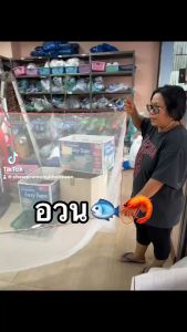 อวนล้อมปลา ดางกัดปลา 22.533.54 เซน ด้ายลัง 6 แบ่งขายเป็นเมตร ดางกวดปลา ดางลากปลา ดางกวด ดางกัด ดางล้อมปลา อวนลากปลา อวน ดาง ตาข่าย อวนล้อมปลา ราคา อวนล้อม - Lazada