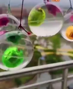 Bola Bekel Karakter Ikan / Mainan Bola Karet Air LED Flashing Ball