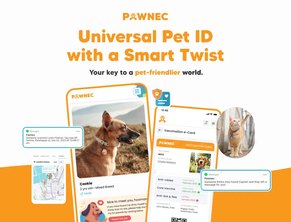 IndieTag with instant text alert QR code Tag for Dog and Cat