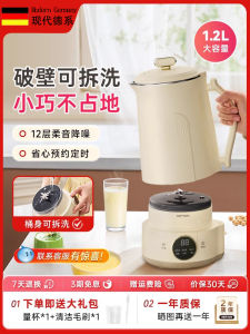 FZY Detachable Washing Small Automatic Home Multifunctional Breaker Machine 2025 New Model Separate Body Kitchen Appliance