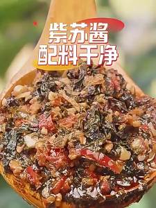 FANZUZHEN | No Additives Commercial Sauce for Rice and Noodles