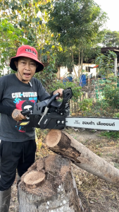 เลื่อยยนต์ Honda 11.5-24 นิ้ว การตัดที่มีประสิทธิภาพ จัดส่งจากกรุงเทพฯ