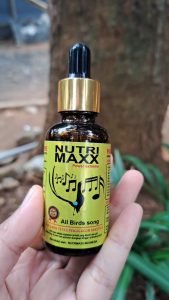 NutriMaxx Vitamin Suplemen Penggacor Burung Kicau Dengan Probiotik Grade A aktif