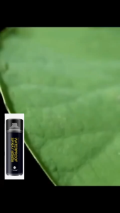 280ml Spray Sepatu Anti Air Efek Daun Talas Waterproof Spray Sepatu Tas Topi Jaket Tenda Efek Daun Talas Water Repellent Coating Best Seller Ifn